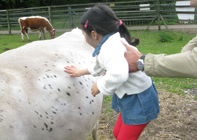 deen_farm_77