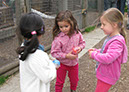 deen_farm_37