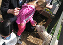 deen_farm_45