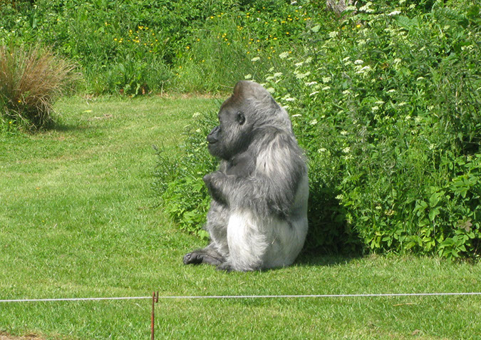 longleat_010