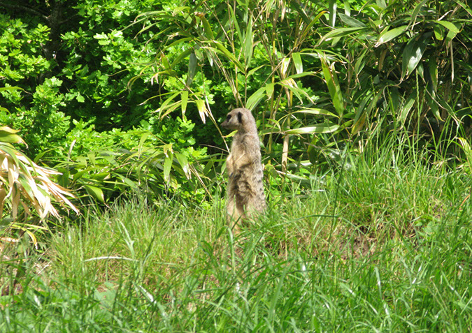 longleat_011