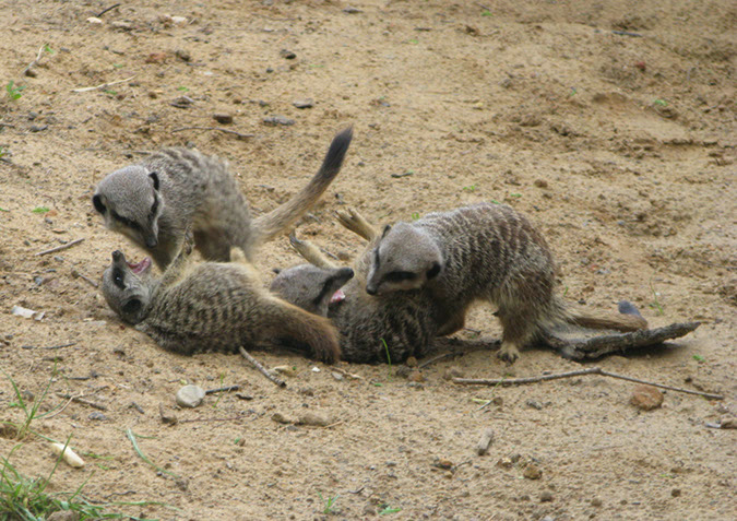 longleat_013