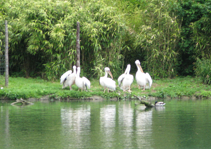 longleat_033