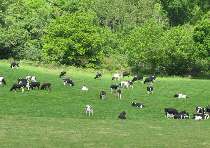 longleat_034