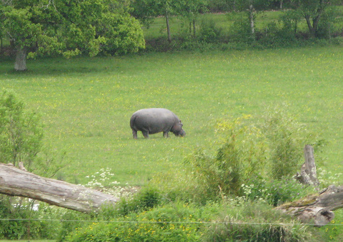 longleat_035