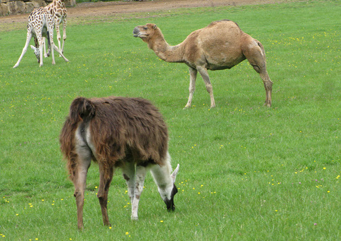 longleat_043