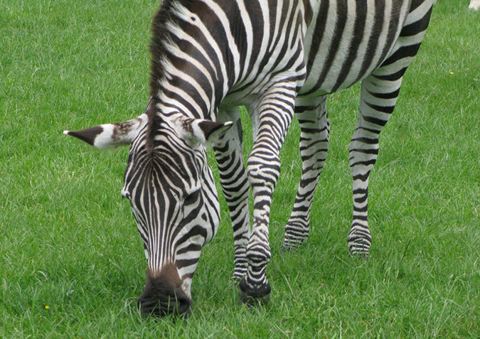 longleat_045