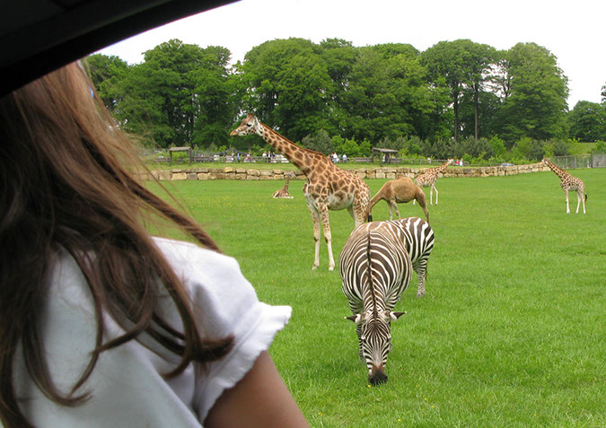 longleat_046