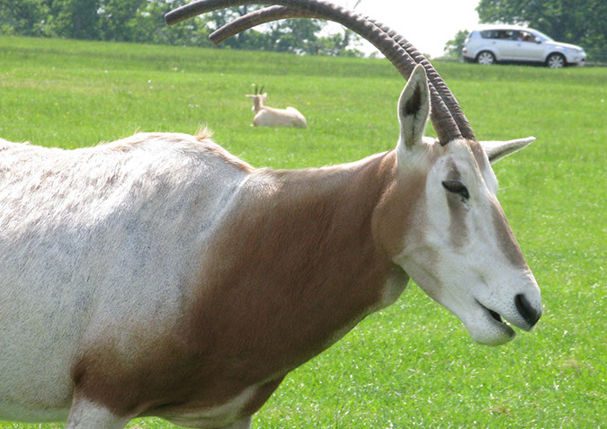 longleat_049