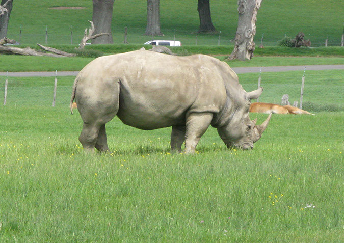 longleat_050