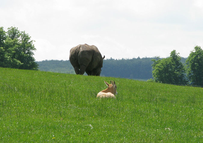 longleat_052