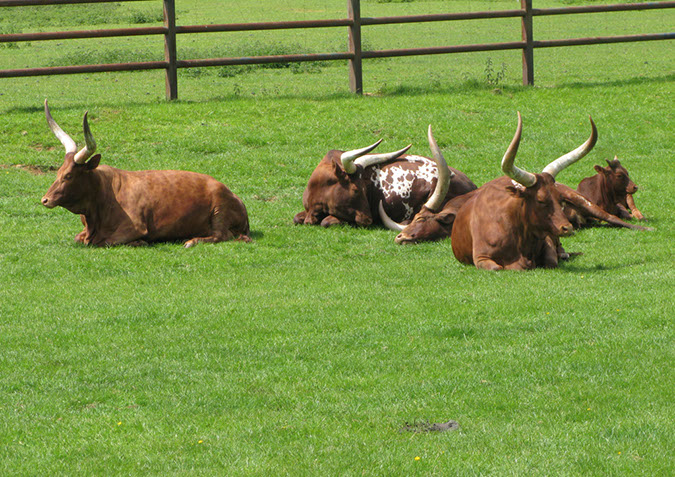 longleat_053