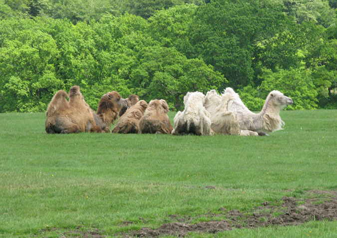 longleat_055