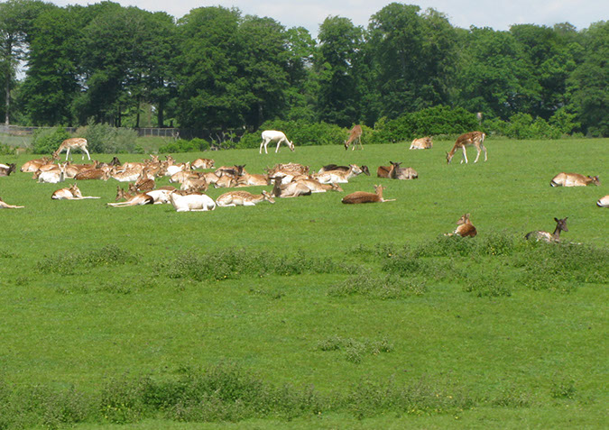 longleat_058