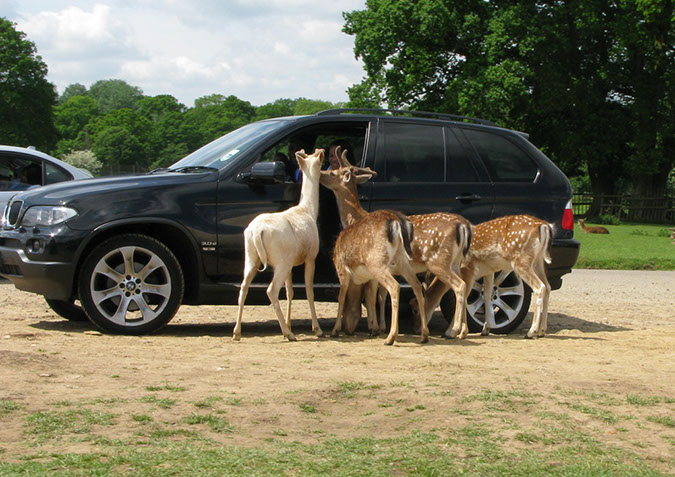 longleat_059