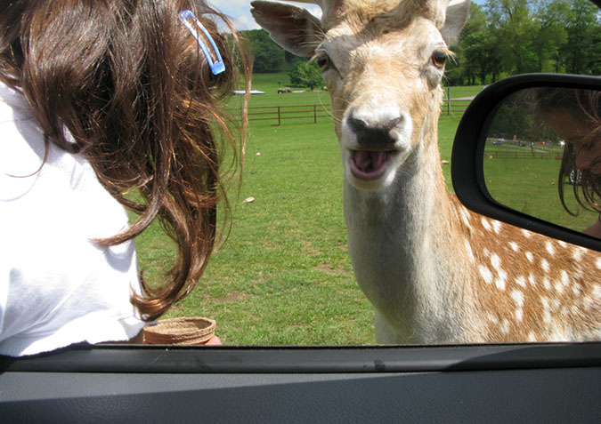 longleat_063