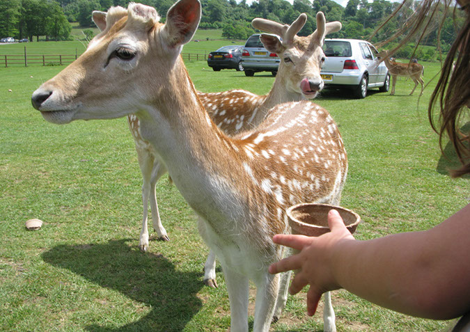 longleat_064