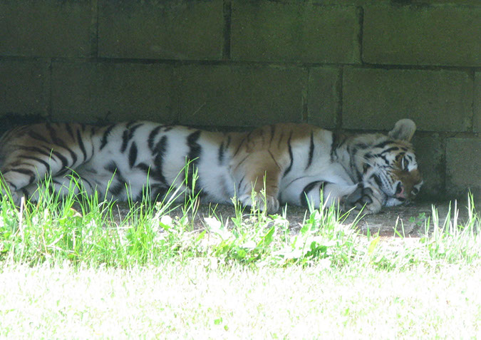 longleat_067