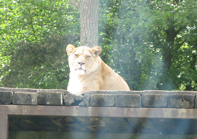 longleat_068