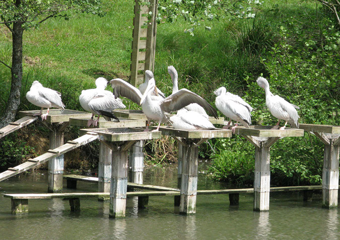 longleat_075