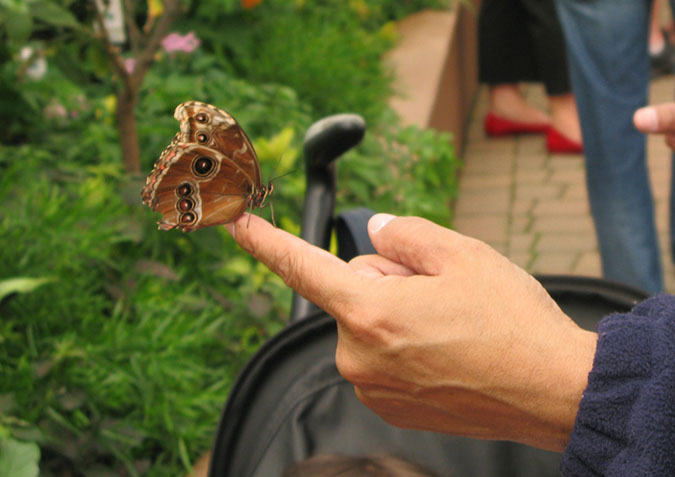 longleat_092