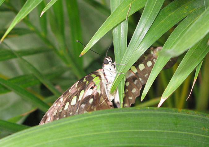 longleat_094