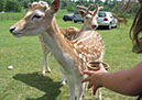 longleat_064