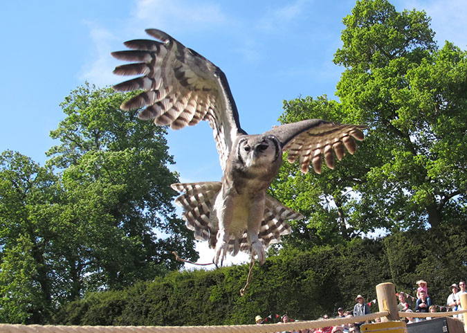 warwick_castle_38