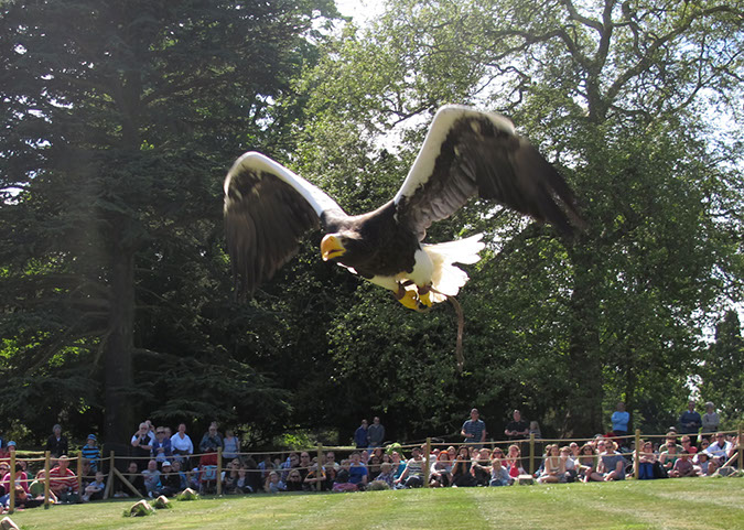 warwick_castle_46