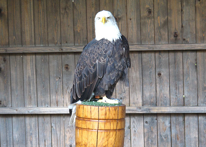 warwick_castle_68