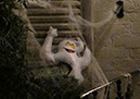 2011_halloween_22